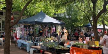 Armidale Markets in the Mall